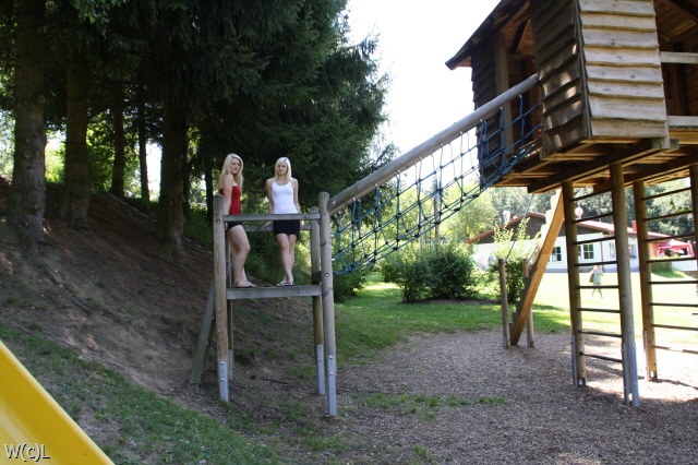 Bild/